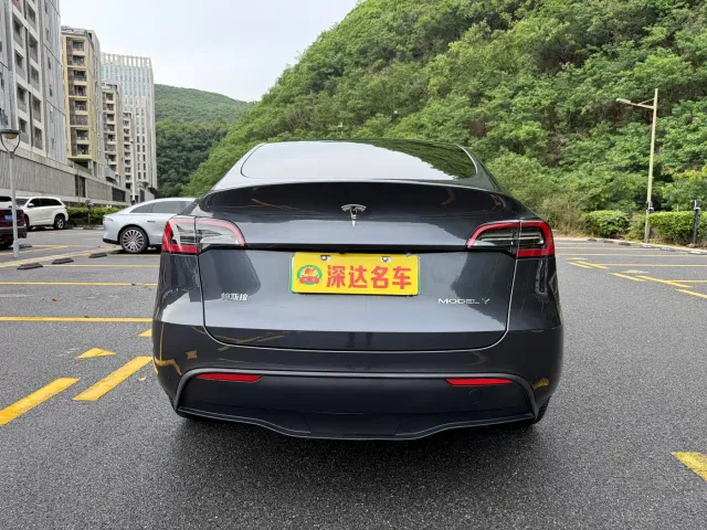 Tesla Model Y — Фото автомобиля 17