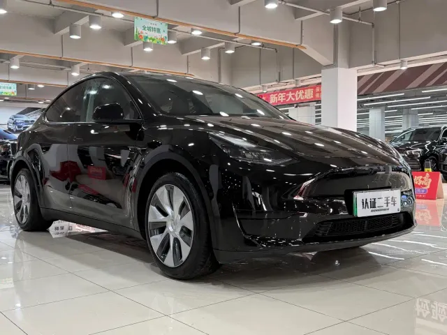 Tesla Model Y — Фото автомобиля 2