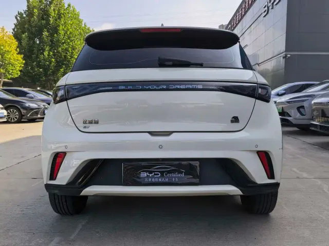 BYD Dolphin — Фото автомобиля 4