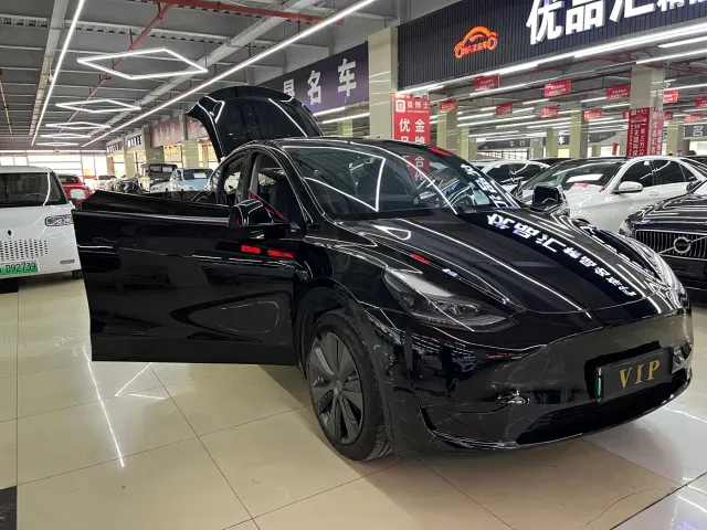 Tesla Model Y — Фото автомобиля 17