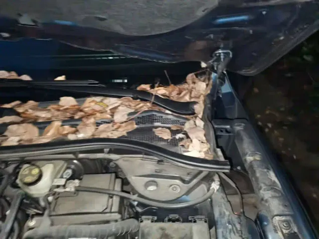 Ford Escape — Фото автомобиля 18