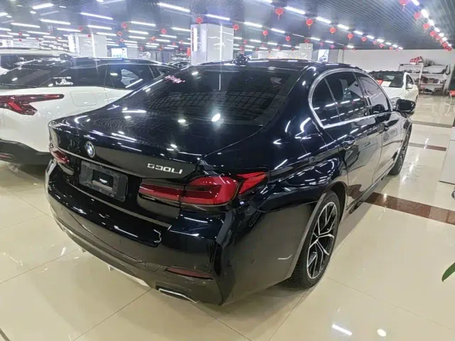 BMW 5 Series — Фото автомобиля 6