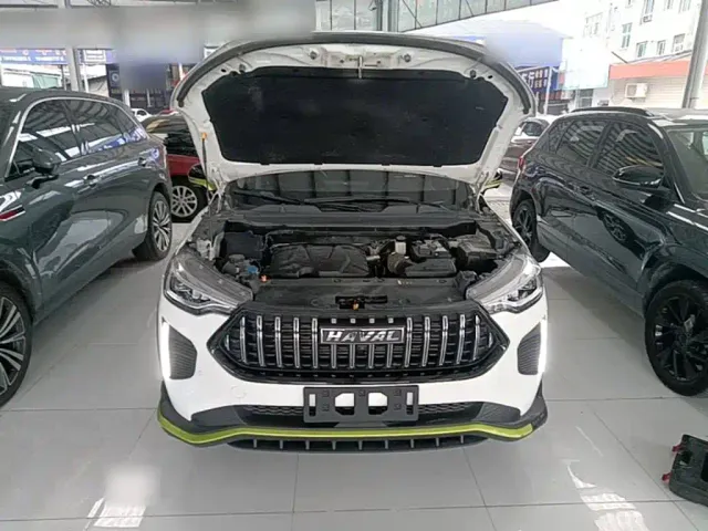 Haval Chitu — Фото автомобиля 19