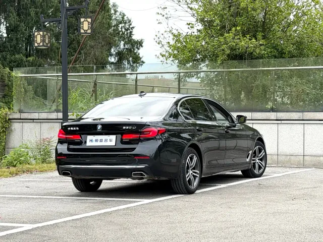 BMW BMW 5 Series 2022 530Li Leading Luxury Package — Фото автомобиля 9