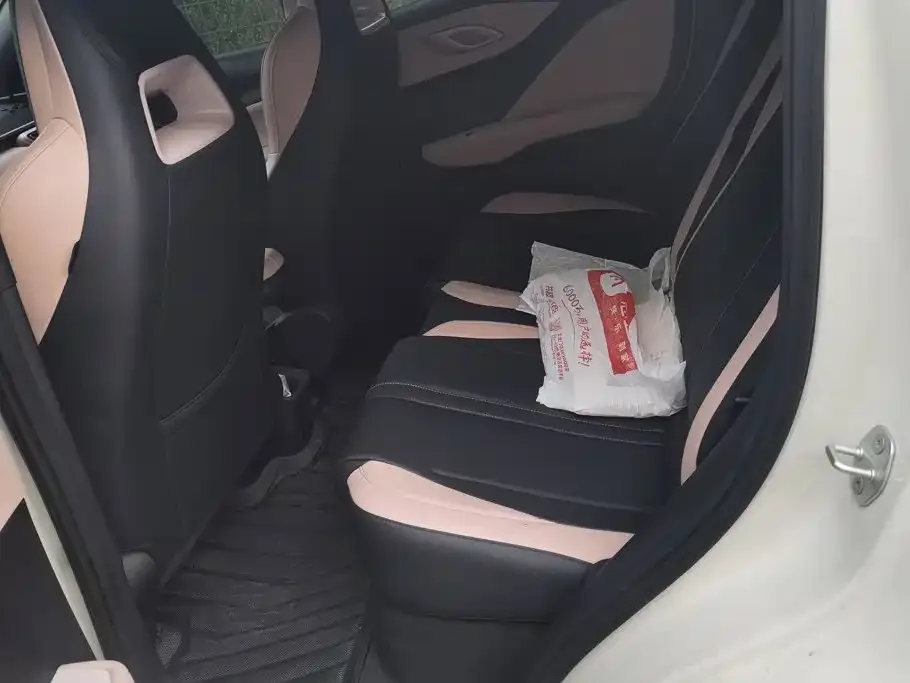 BYD Seagull 2025 Smart Driving Edition 405km Flying Edition — Фото автомобиля 11