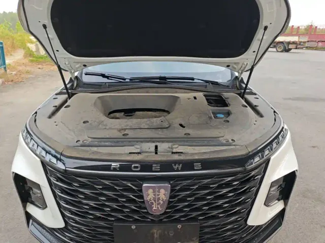 Roewe RX5 Max — Фото автомобиля 19