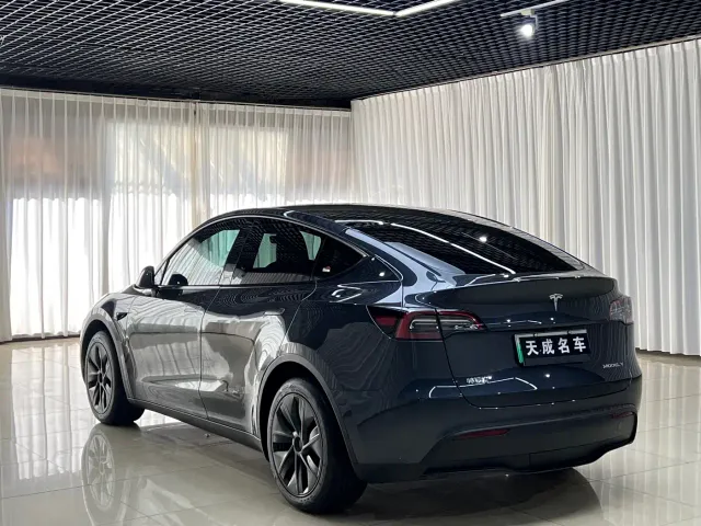 Tesla Model Y — Фото автомобиля 6