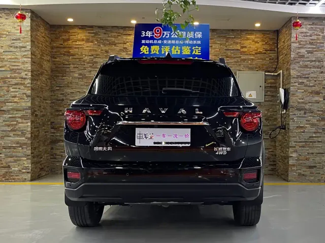 Haval Big Dog — Фото автомобиля 4