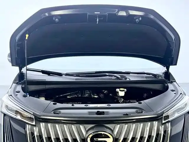 GAC Trumpchi M8 — Фото автомобиля 10