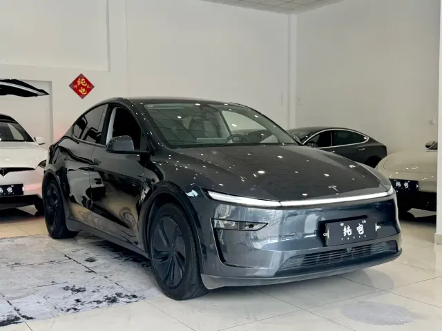 Tesla Model Y 2025 Rear-Wheel Drive — Фото автомобиля 3