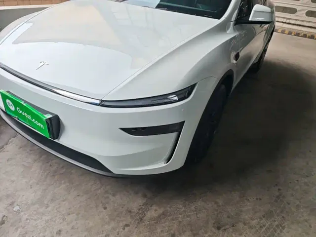 Tesla Model Y — Фото автомобиля 23