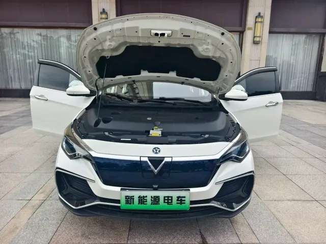 Venucia D60 EV — Фото автомобиля 22