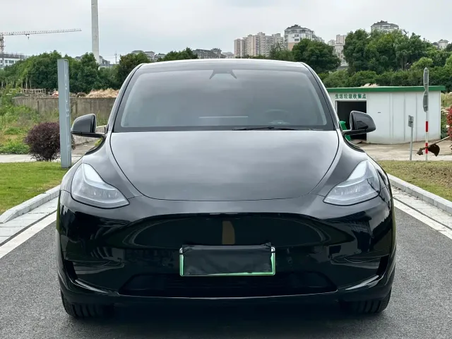 Tesla Model Y — Фото автомобиля 2