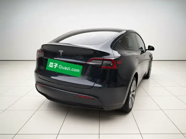 Tesla Model Y — Фото автомобиля 6