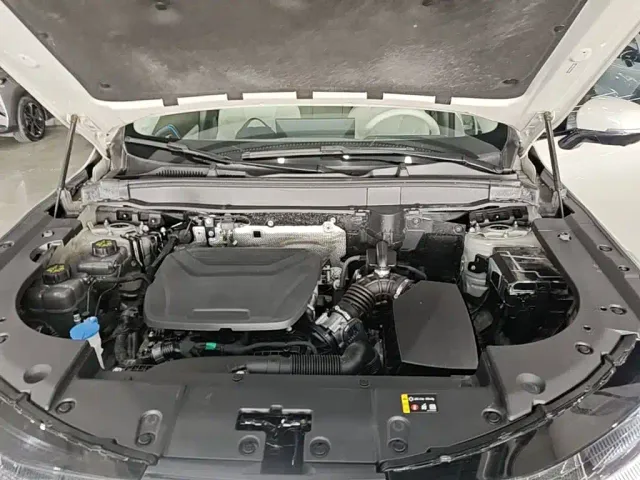 Haval Xiaolong MAX — Фото автомобиля 19