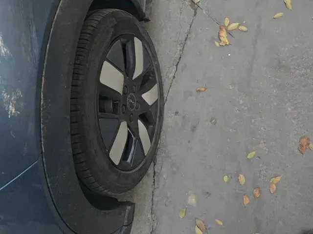 BYD Dolphin — Фото автомобиля 6