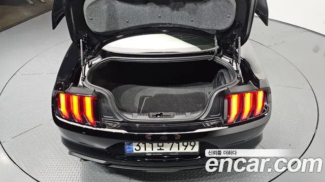 Ford Mustang — Фото автомобиля 30