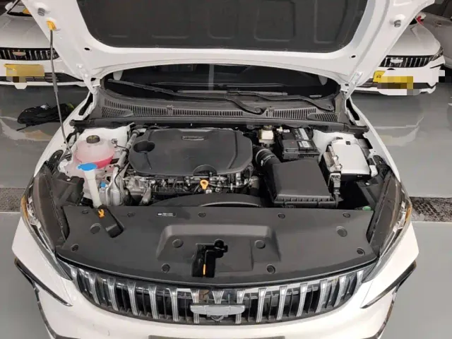 Geely Binrui — Фото автомобиля 19