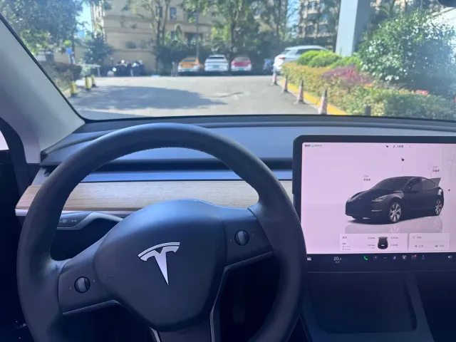 Tesla Model Y — Фото автомобиля 5