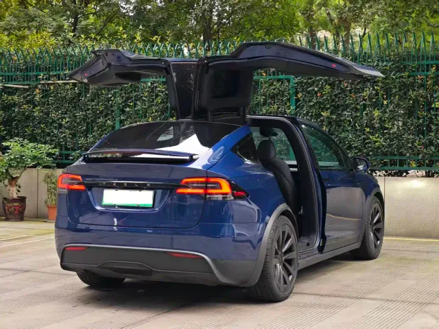 Tesla Model X — Фото автомобиля 15