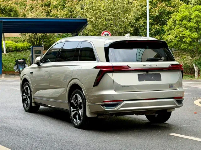 Wey Lanshan — Фото автомобиля 12