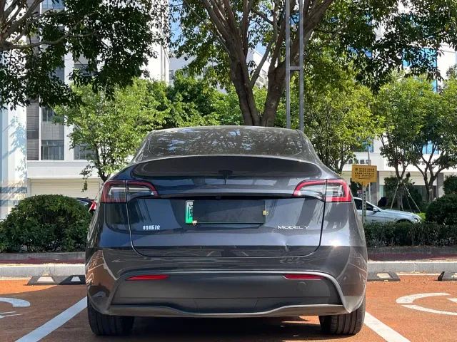 Tesla Model Y — Фото автомобиля 8
