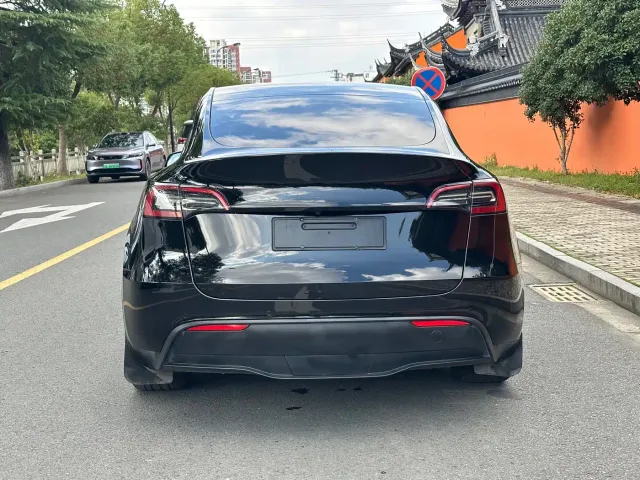 Tesla Model Y — Фото автомобиля 4