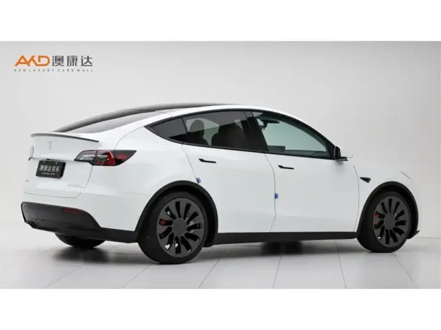 Tesla Model Y — Фото автомобиля 3
