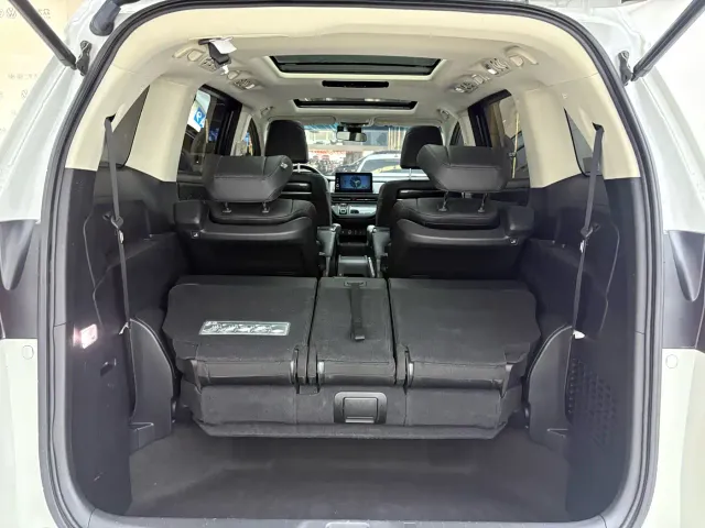 Honda Elysion — Фото автомобиля 23