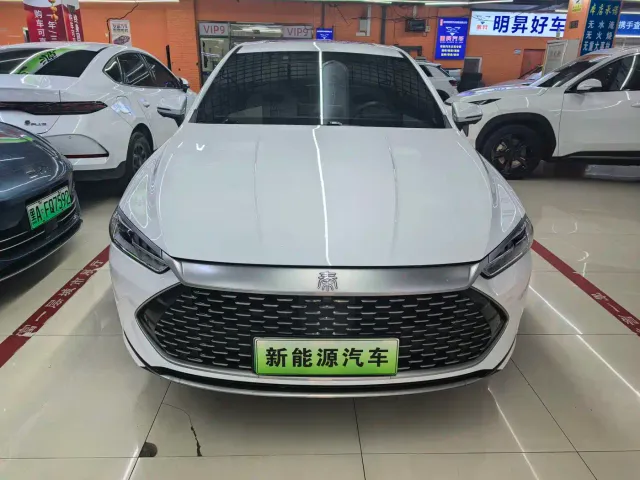 BYD Qin PLUS — Фото автомобиля 2
