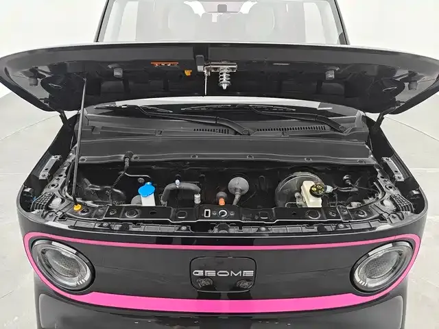Geely Panda — Фото автомобиля 12