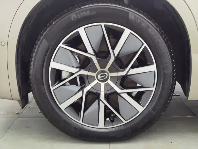 GAC Trumpchi Xiangwang S9 — Фото автомобиля 17