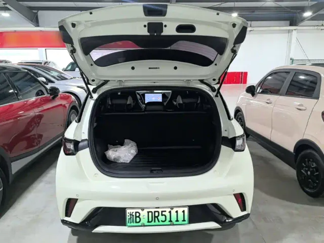 BYD Dolphin — Фото автомобиля 18