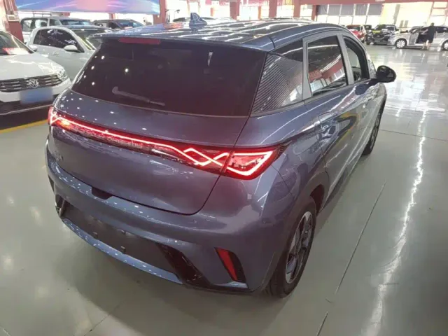 BYD Dolphin — Фото автомобиля 6