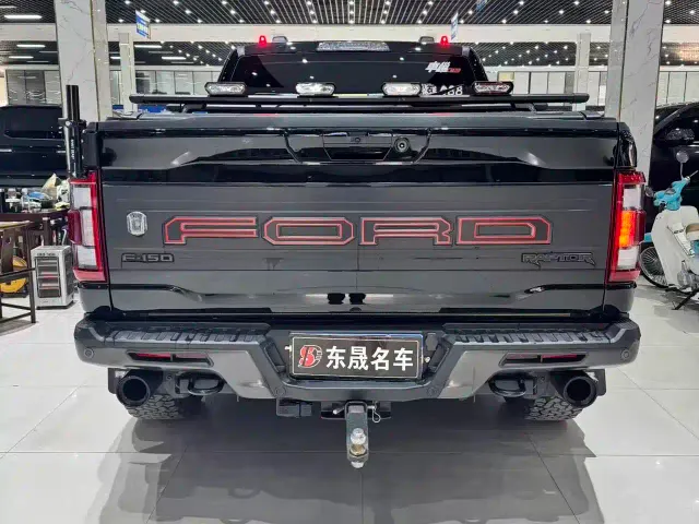 Ford F-150 Raptor — Фото автомобиля 8