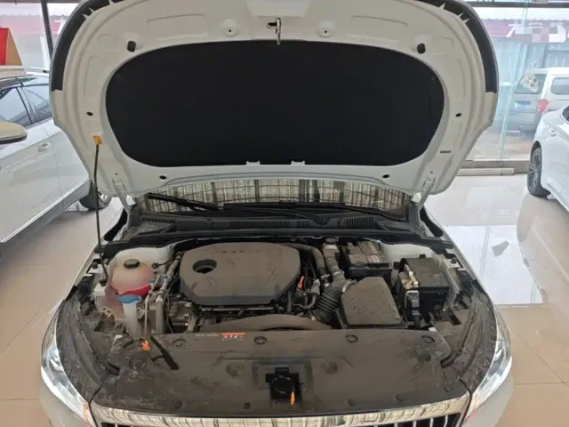 Geely Emgrand — Фото автомобиля 19