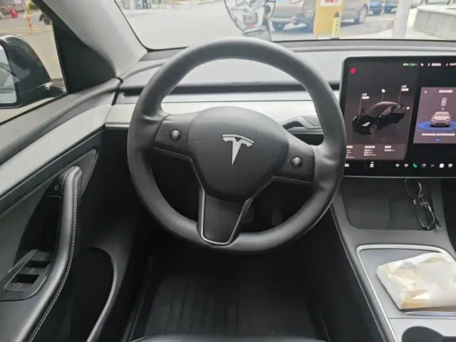 Tesla Model Y — Фото автомобиля 6