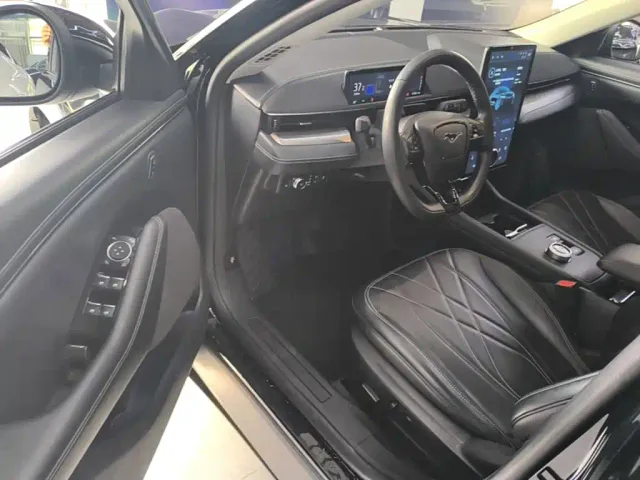 Ford Mustang Mach-E — Фото автомобиля 15