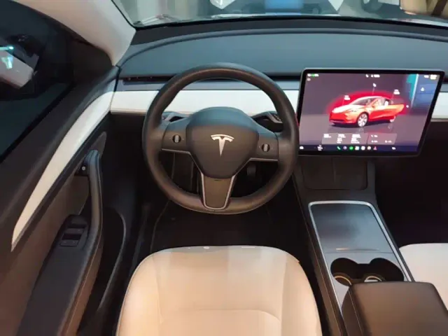 Tesla Model Y 2021 Facelift II Long Range AWD — Фото автомобиля 10