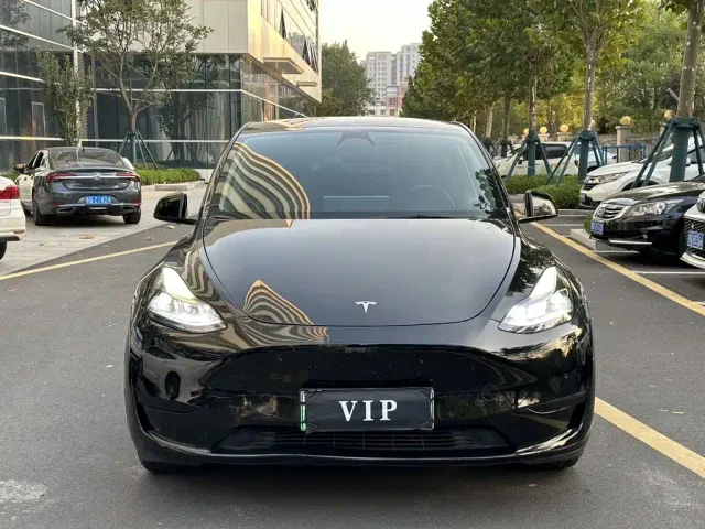 Tesla Model Y — Фото автомобиля 2
