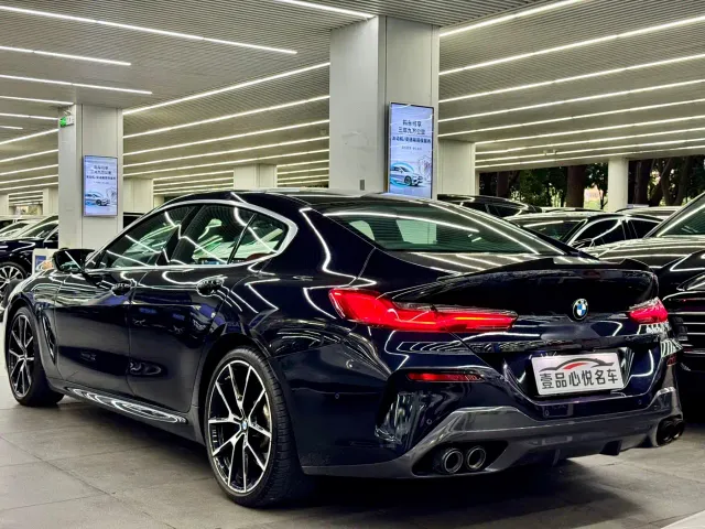 BMW 8 Series — Фото автомобиля 12