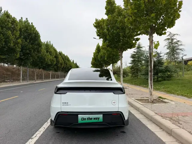 Tesla Model Y — Фото автомобиля 8