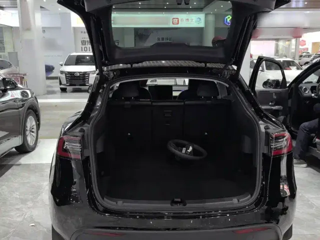 Tesla Model Y — Фото автомобиля 3