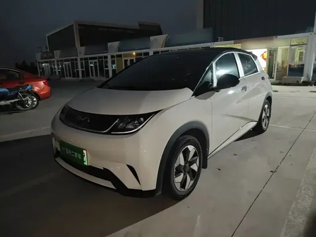 Фотография автомобиля — BYD Dolphin
