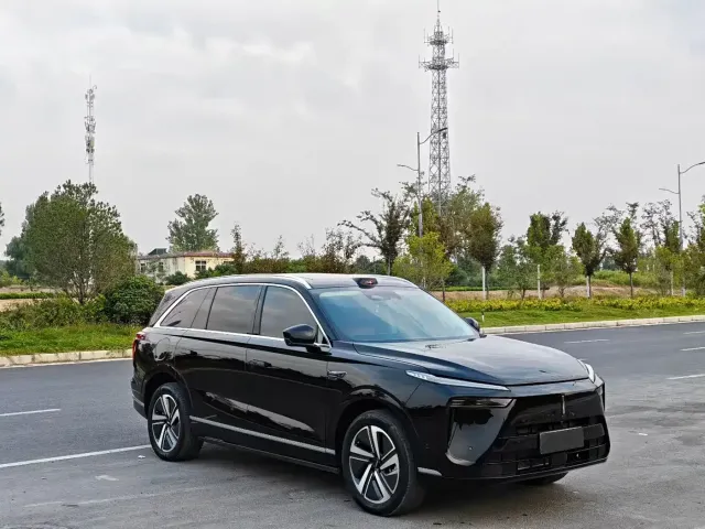 Wey Lanshan — Фото автомобиля 2
