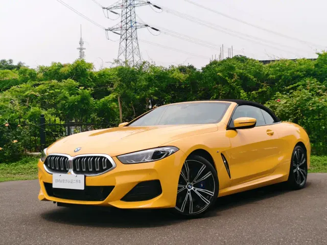 BMW 8 Series — Фото автомобиля 10