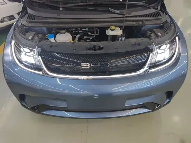 BYD Dolphin — Фото автомобиля 19