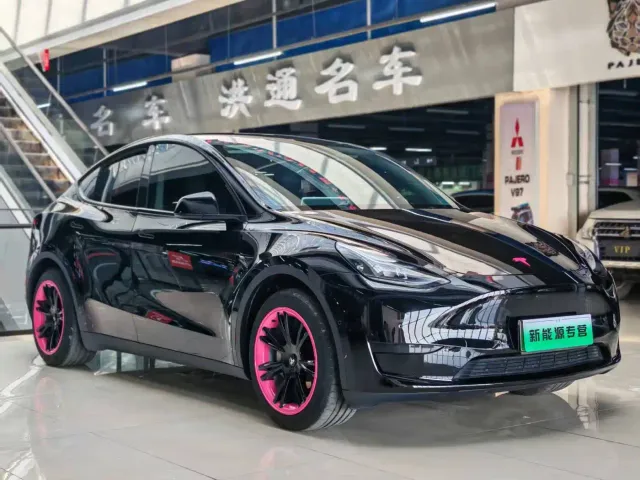 Tesla Model Y — Фото автомобиля 2
