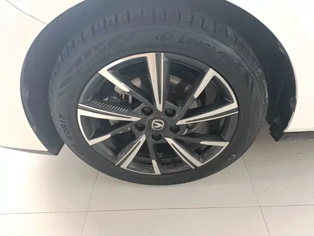 Changan Lamore — Фото автомобиля 22