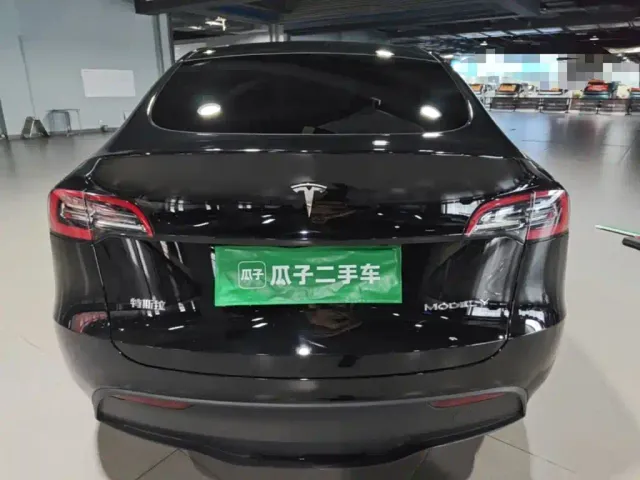 Tesla Model Y — Фото автомобиля 5